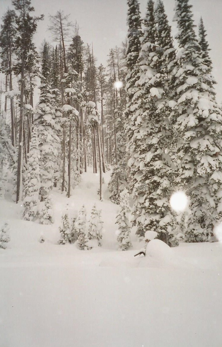 McMahill Snow near cabin